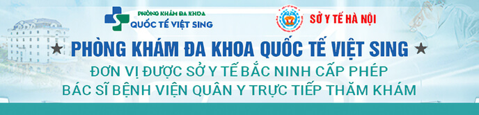 banner việt sing